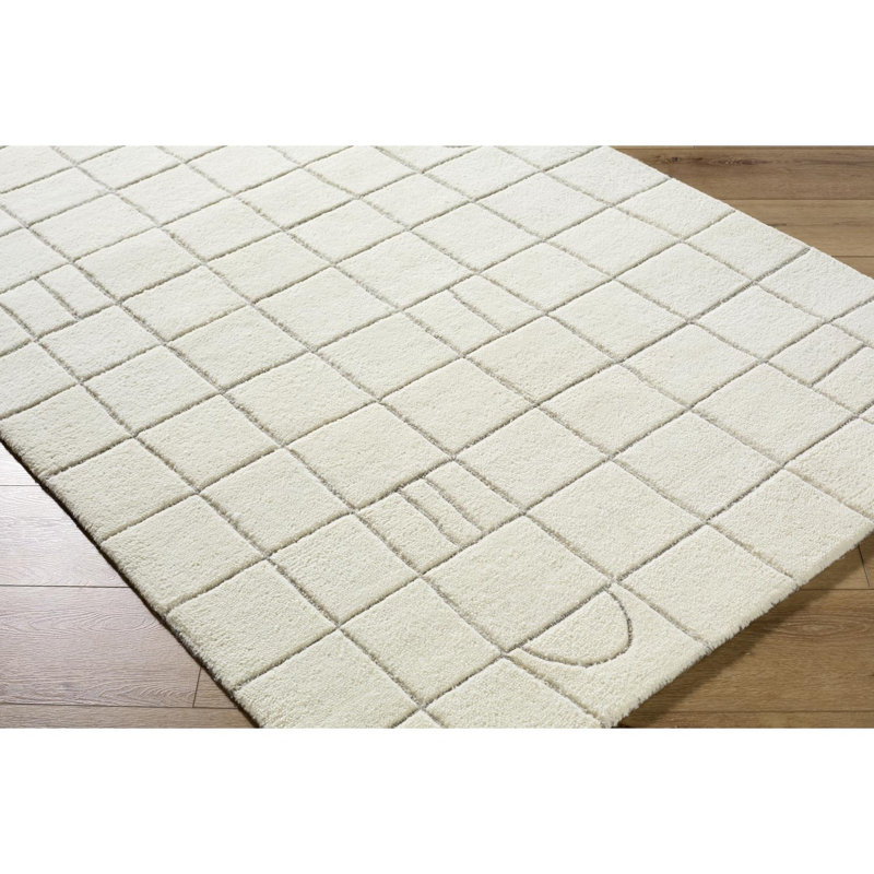 Lorette Hand Tufted Wool Indoor Rug, Rectangle 2' x 3'