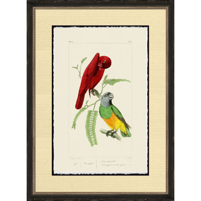 Perroquet Painting