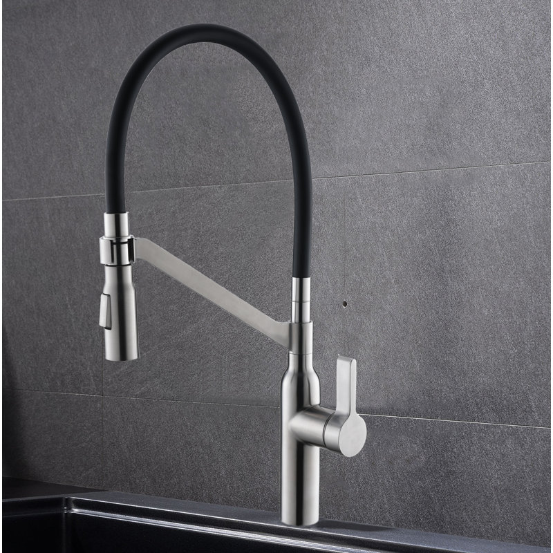 RAEN Marigold Pull Out Kitchen Faucet