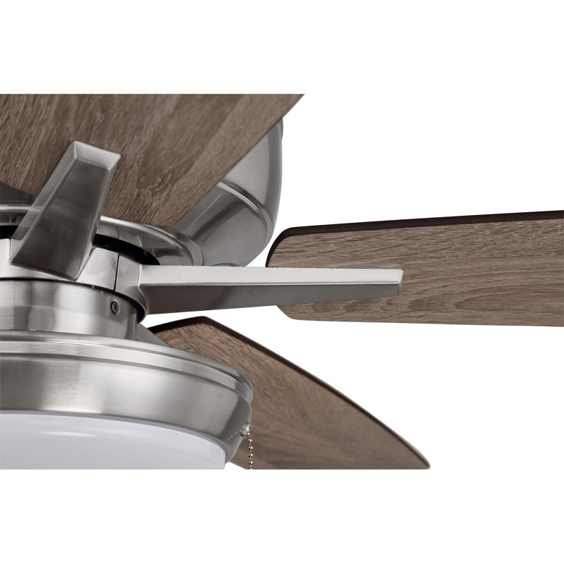 Medberry 60'' Ceiling Fan with LED Lights, Brushed Polished Nickel/Tan
