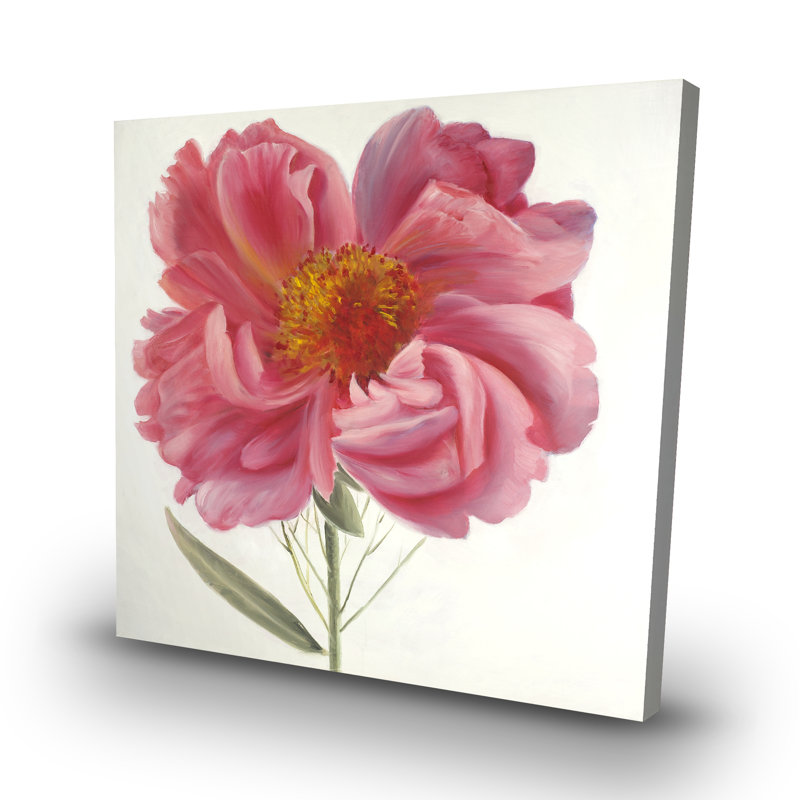 peony flower - 32"x32" art on canvas