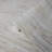 Awez Abstract Wallpaper