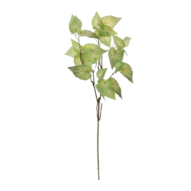 Anthurium Leaf Branch