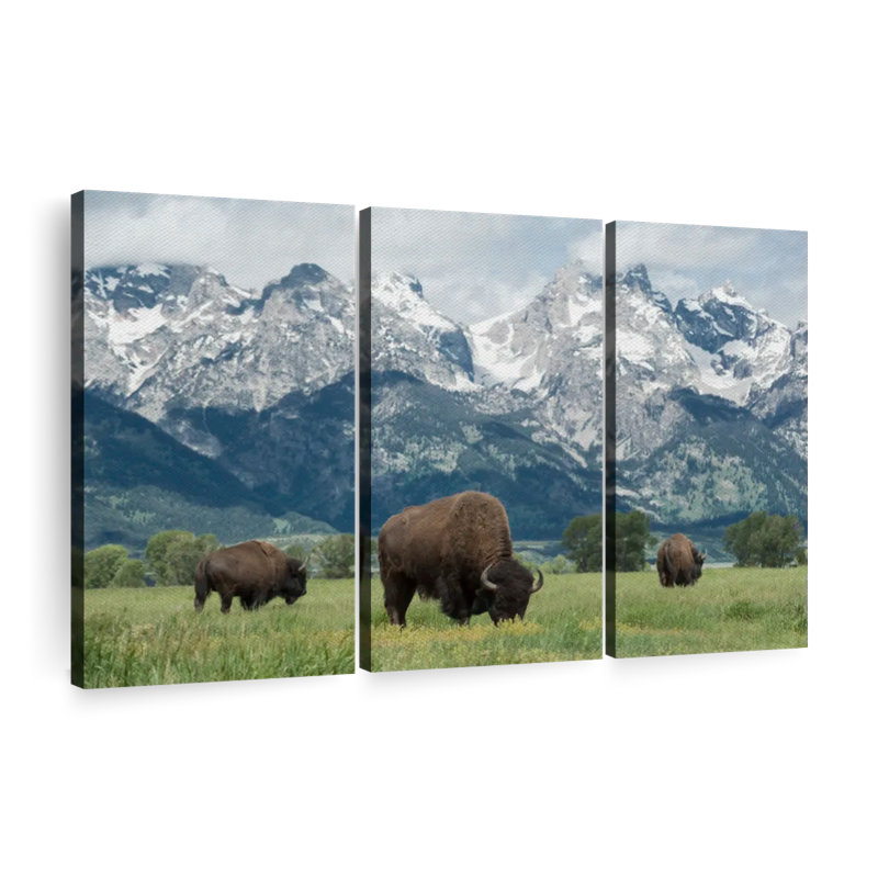 Ensemble de 3 bisons sur toile Grazing Teton, H 24 po x l 38 po x P 1,25 po