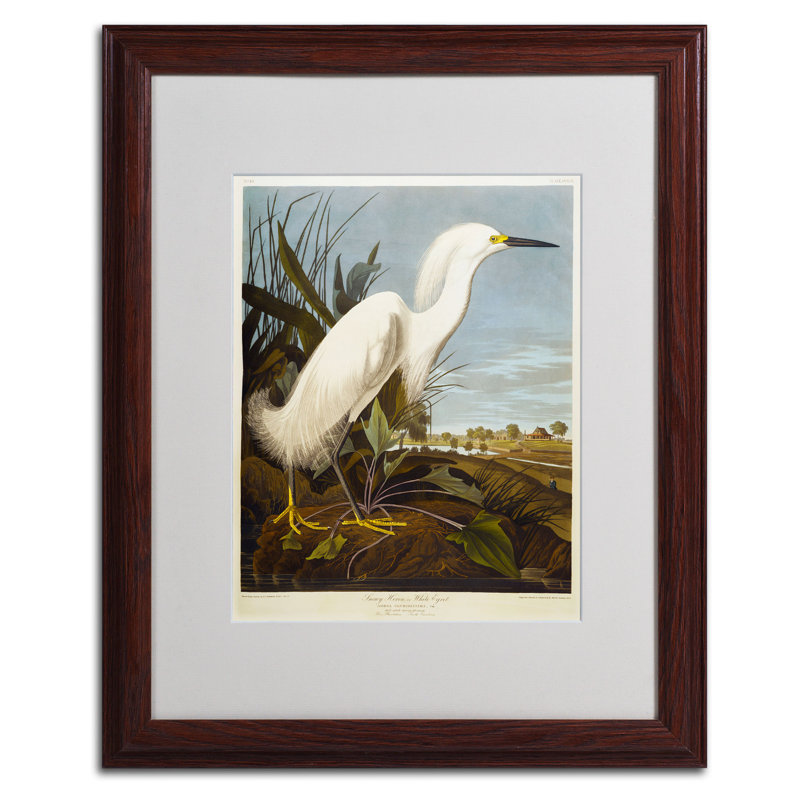 John Audubon - Cadre photo, reproduction d'art sur toile, H 20 po x l 16 po, Brun