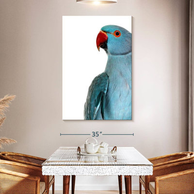 Parakeet