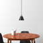 Rouvin Single Light Metal Dimmable Pendant-86624294
