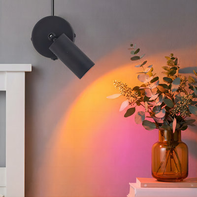 Set of 2 RGBW LED Spotlights Indoor For Plant,Painting, Artwork Black,USB Powered with Remote,Gold