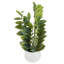 Artificial Plant