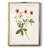 Clio -Gallery Wrapped Canvas