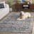 Mchellen Antique Patina Performance Oriental Rug-270891885