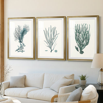 Antique Coastal Coral VI  -Custom Framed  Premium Print W Matt - 3 Pieces