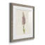 Mauve Garden Flowers I - ensemble de 4 peintures encadrées-1257449932-1257449930