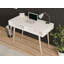 Wellman Desk-653865440