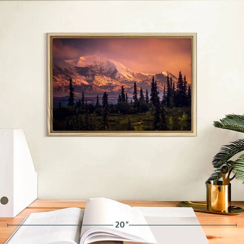 Denali et forêt Denali, Cadre flottant en bois naturel, 13 po x 9 po