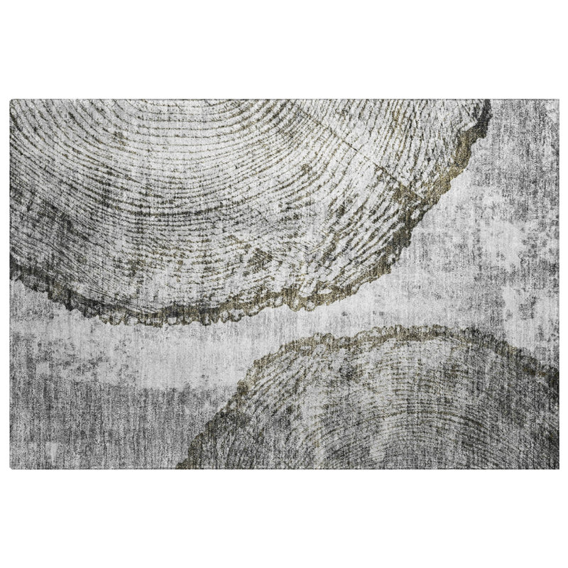 Tapis à poil long de qualité supérieure lavable à la machine ADS649, 1 pi 8 po x 2 pi 6 po
