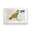 Courrier avec ailes, ensemble de 2 impressions-558502947-558502950-558502958