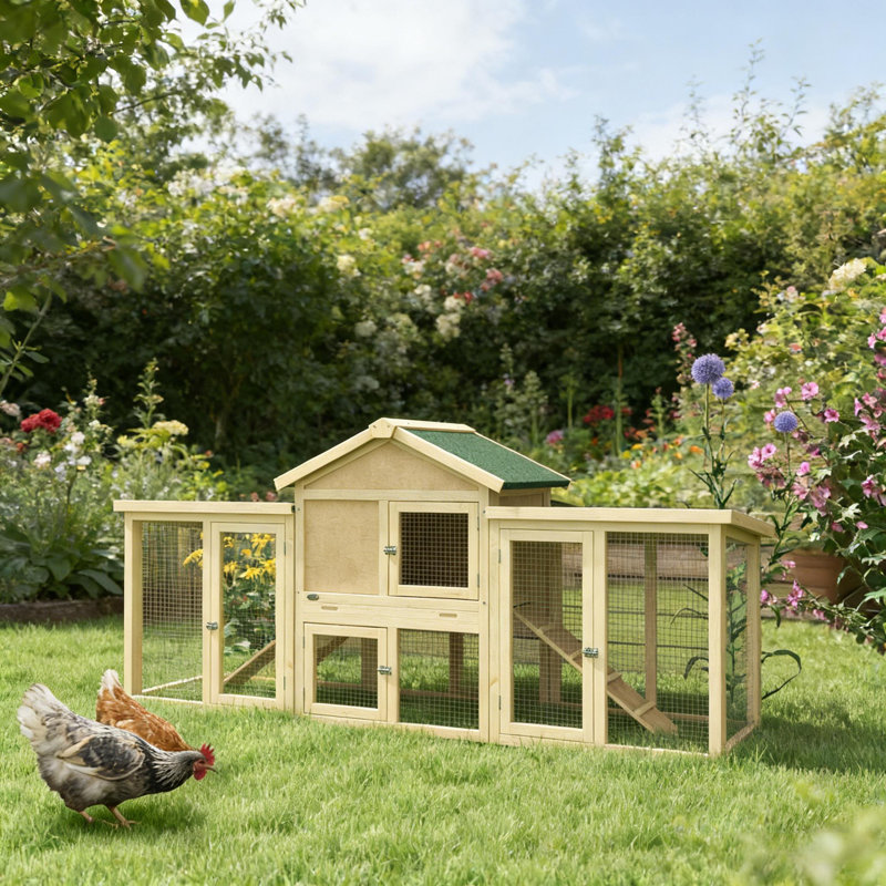 Hen House