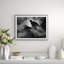 Ski-Jumper Giclee Print by Getty Images