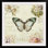 « marche aux fleurs papillon ii » par lisa audit, impression