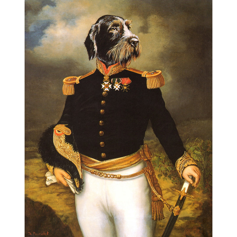 Robe de cérémonie, H 24 po x l 19 po