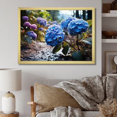 " Blue Purple Hydrangea Field II "