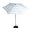 Parasol