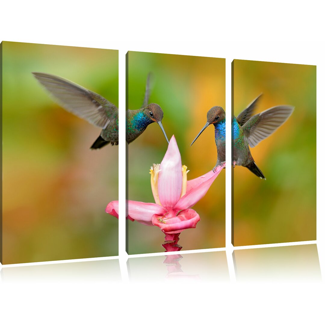 3-tlg. Leinwandbilder-Set Zwei fliegende Kolibris in den Tropen, Fotodruck