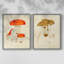 «Mushroom Variétés», reproduction encadrée de qualité supérieure - prête à être accrochée - aucun clou requis - aucun clou requis-1240688531-1240688542
