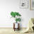 Ogallala Plant Stand-1928663464-1894657856