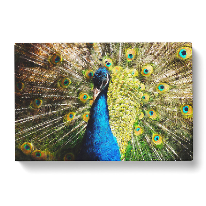 Peacock Vol.2 - Wrapped Canvas, 50cm H x 76cm W x 3cm D
