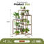 Plant Stand - Set of 7