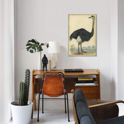 " The Ostrich " by PI Collection