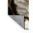 Washable Puspin Cats Area Rug-1664269223