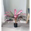 Cordyline en pot Real Touch-960357734-1056295471