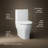 Reach Up 1.28 GPF Water Efficient Elongated One-Piece toilet