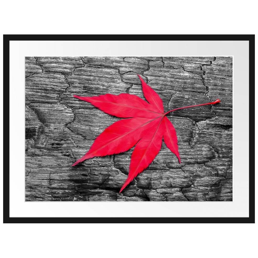 Gerahmtes Poster Rotes Ahornblatt im Herbst