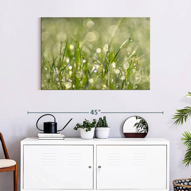 Harnek Raindrops On Grass Abstract, 24" H x 36" W