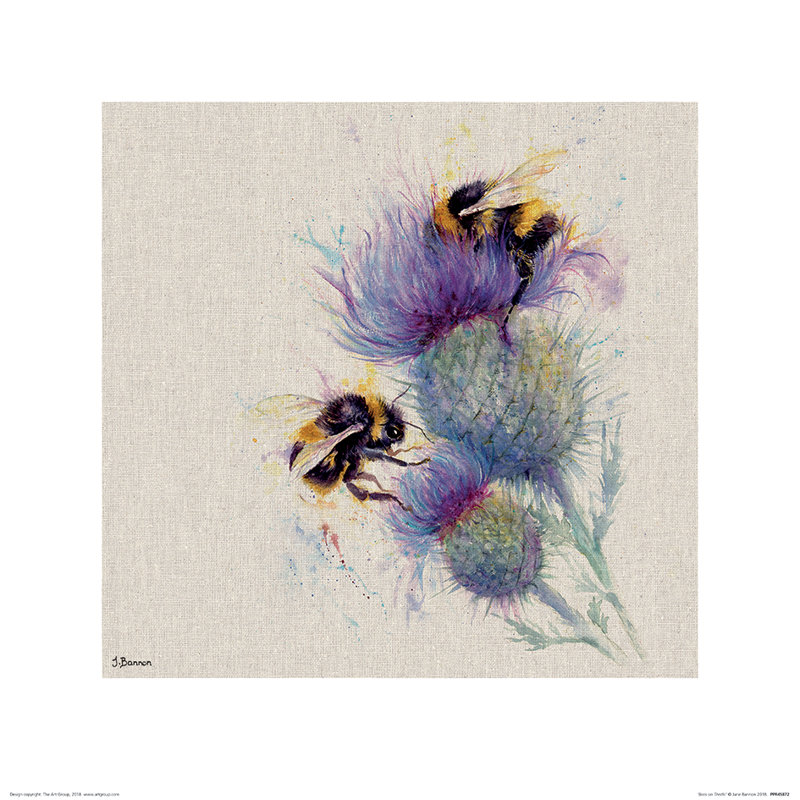 Wrapped Canvas Print, 40cm H x 40cm W x 0.01cm D, Paper