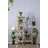 Plant Stand