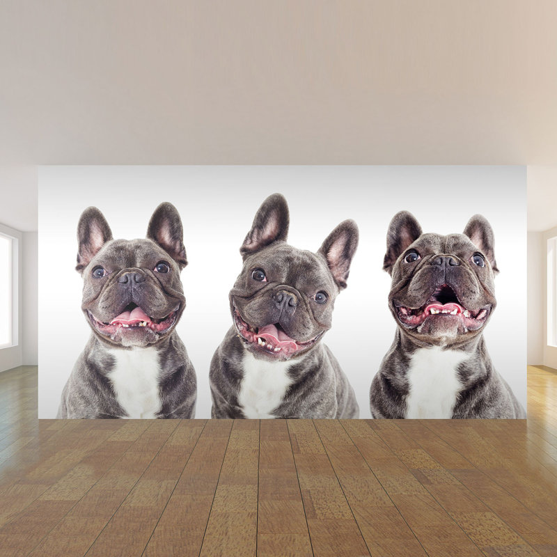 Panneau de papier peint Dota Dog, L 100,08 po x l 96 po