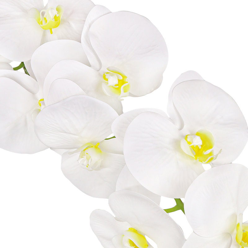 Tige de fleur d'orchidée artificielle, Blanc