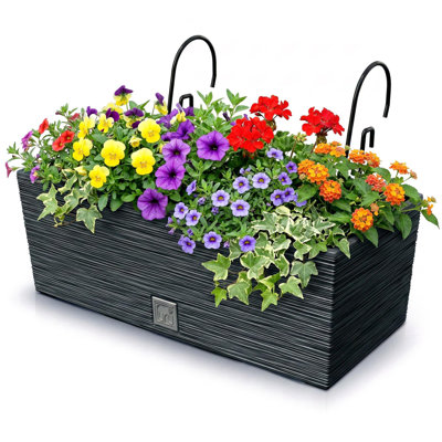 Hanging Planter