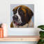 Crowle Saint Bernard