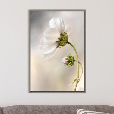 " Heavenly Cosmos " by Mandy Disher