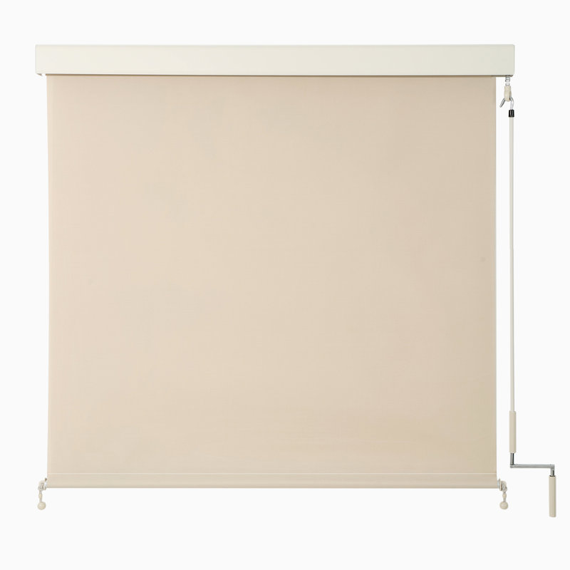 Store enroulé semi-transparent, Beige, L 96 po x L 96 po