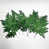 Vert foncé