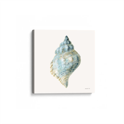 Blue Conch Shell On Canvas