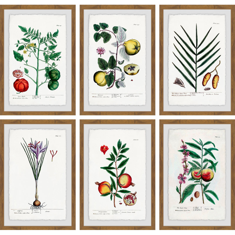 « planteas jali hexaptych », ensemble de 6 reproductions d’impressions encadrées, H 36 po x l 24 po x L 1,5 po