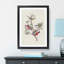 Painted Finches by John Audubon - Framed Print-55578086-55578089